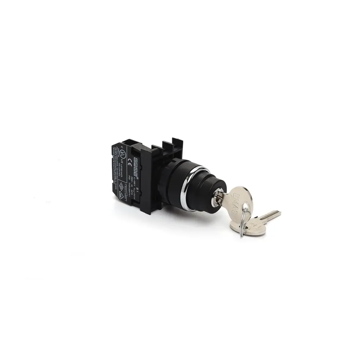 Emas B Series Plastic Key-Operated Maintained Type Push Button 1NO 0-I Black 22mm IP50