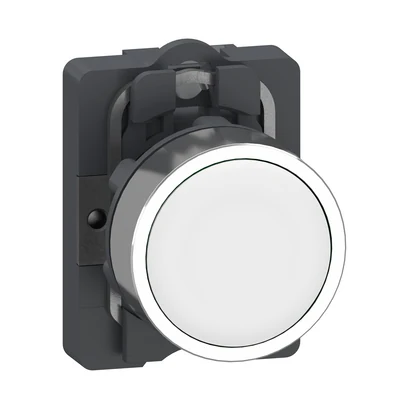 Schneider Electric XA2AA11 PB,FLUSH,WHITE,1NO — üretici katalog görseli