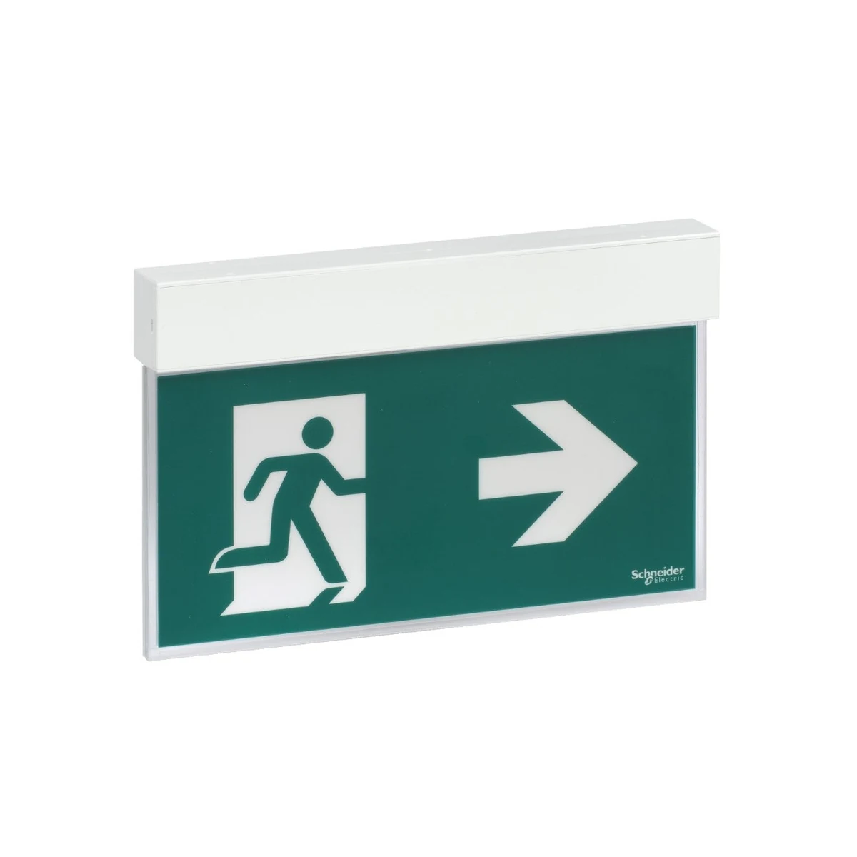 Schneider Electric OVA38250 Directional EasySign 1.5 hours, Maintained, 24mt