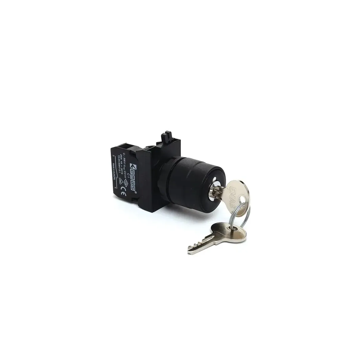 Emas CP Series Plastic Key-Operated Maintained Key Removable in All Positions Push Button 1NO (0-I) 60° 22mm IP65