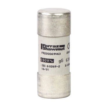 Schneider Electric DF2FN100 CARTRIDGE FUSE 100A 22X58