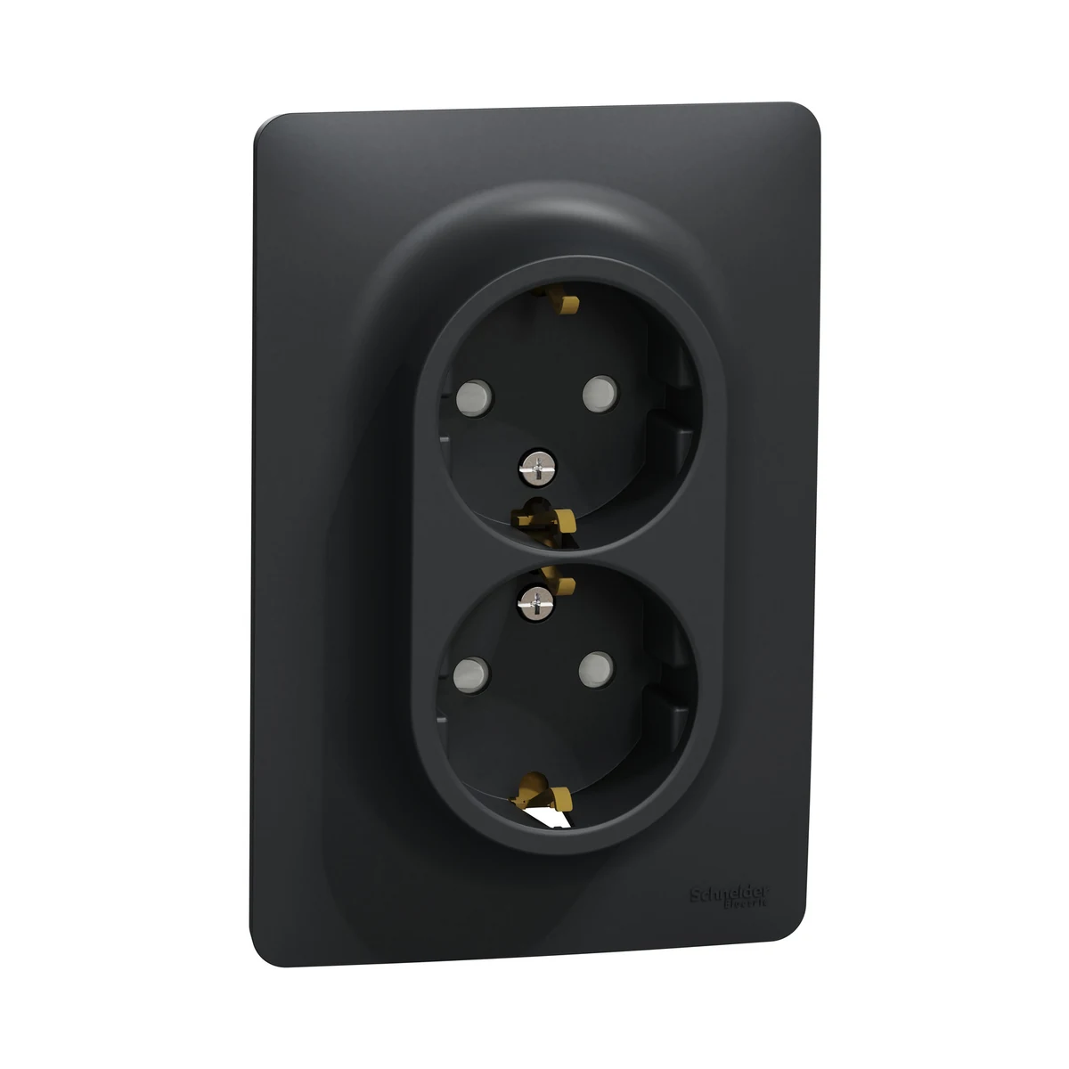 Schneider Electric NU206730 Yeni Unica, Grounded Child-Protected 2li Socket, Aluminum