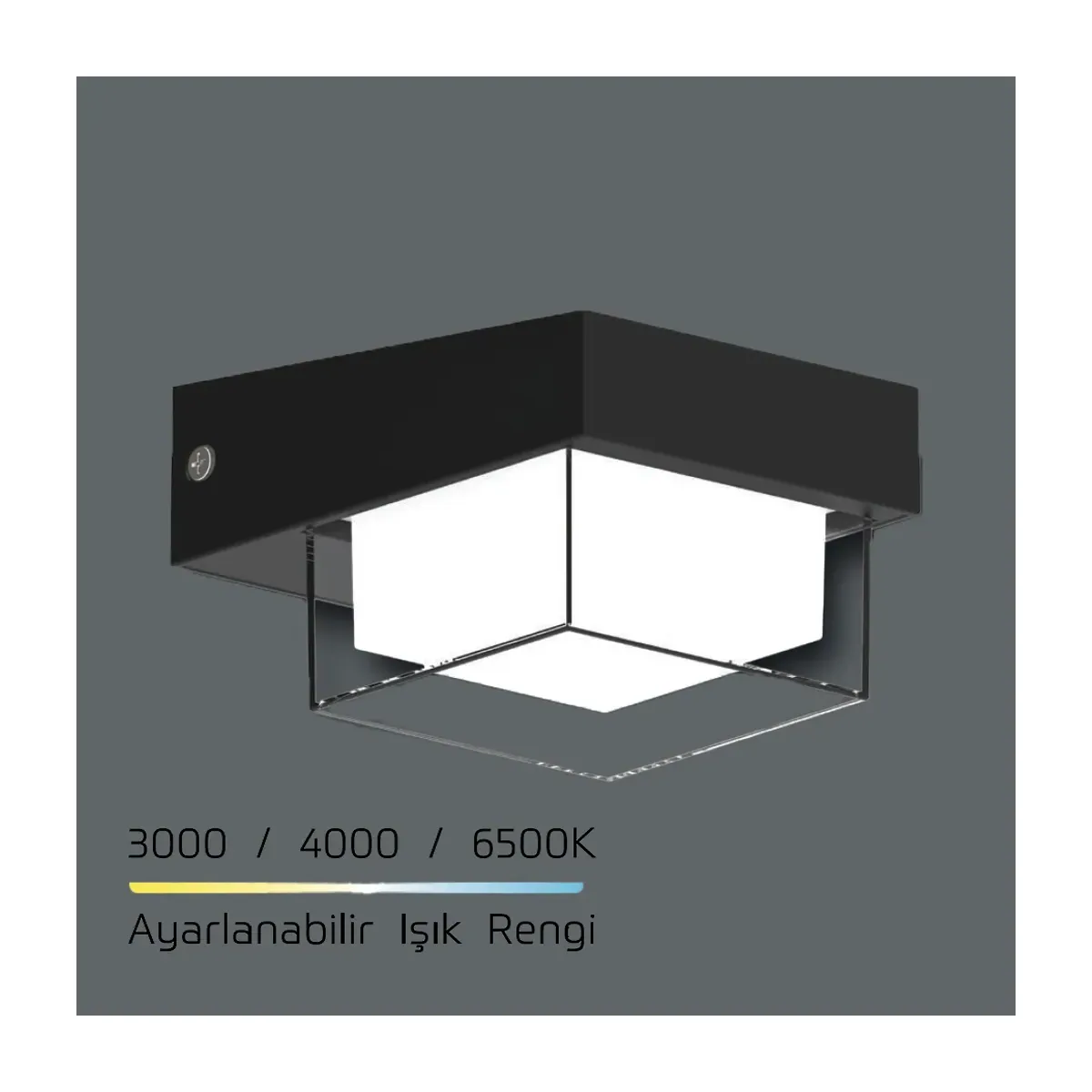 10W Adjustable-Light 200lm Solar Wall Light