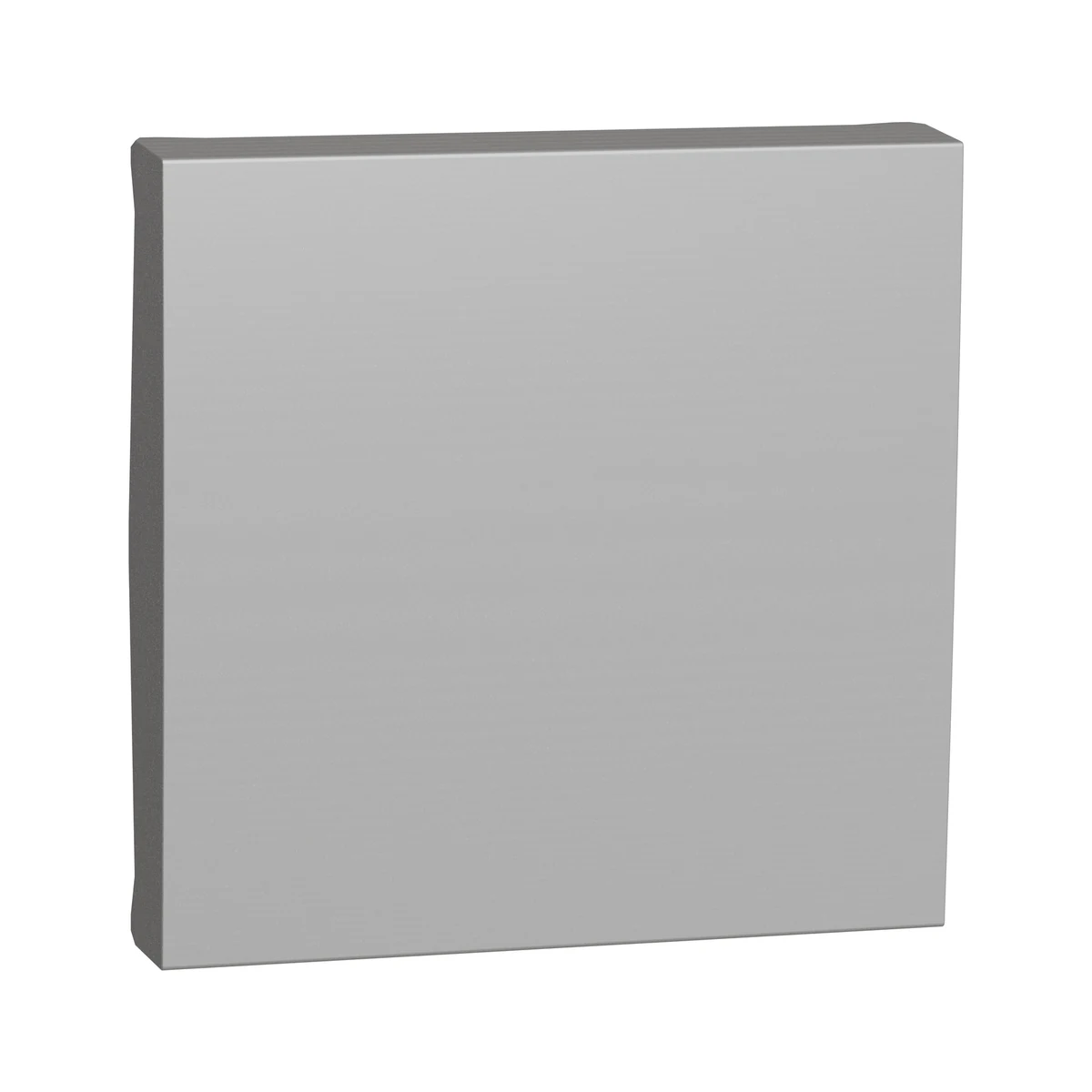 Schneider Electric NU920030 Yeni Unica, Switch Rocker Cap 2 module, Aluminum