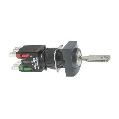 Schneider Electric XB6DGC5B RE.KEY SEL.SW.2P.NO/NC — üretici katalog görseli