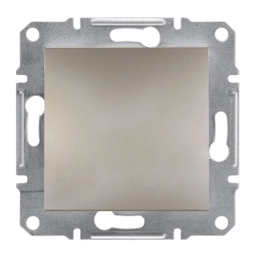 Schneider Electric EPH5600169 Asfora KOR Kapak Bronz