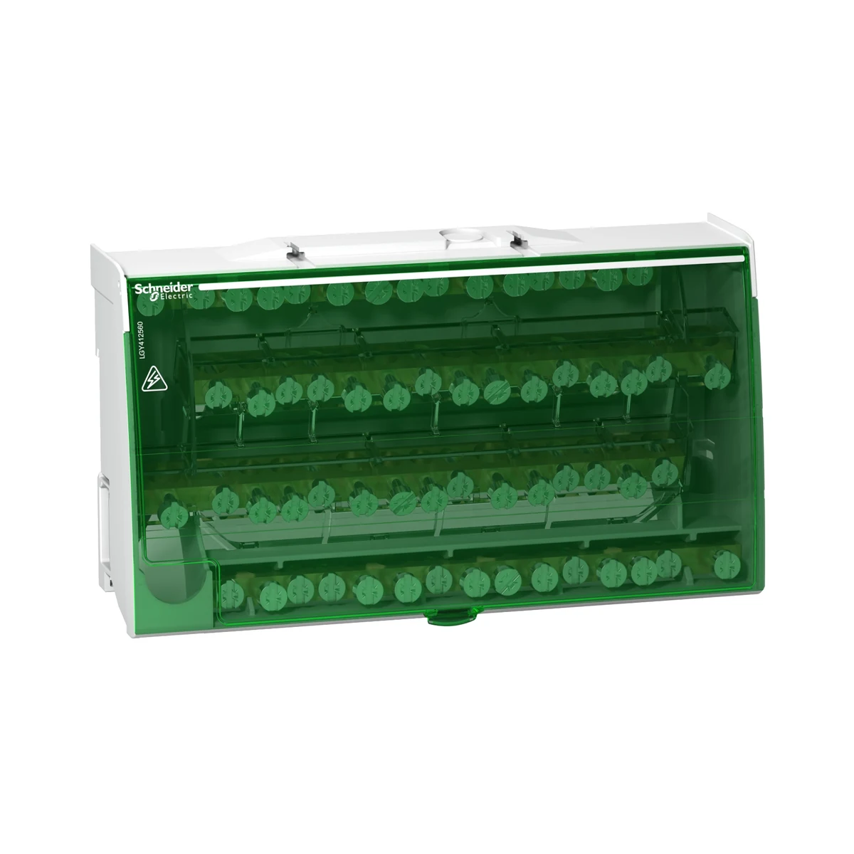 Schneider Electric LGY412560 Screw-Type Distribution Box 4P 125A 60-Hole