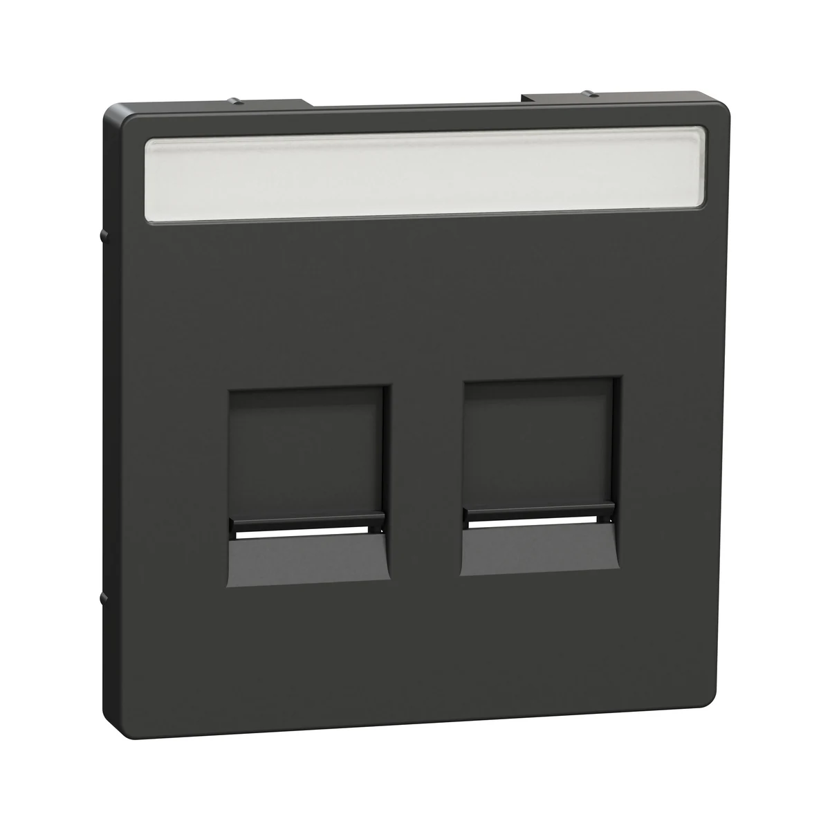 Schneider Electric MTN4564-6033 Cover Plate, Merten System M, for 2-Port Data Socket with Cover and Label, Sahara