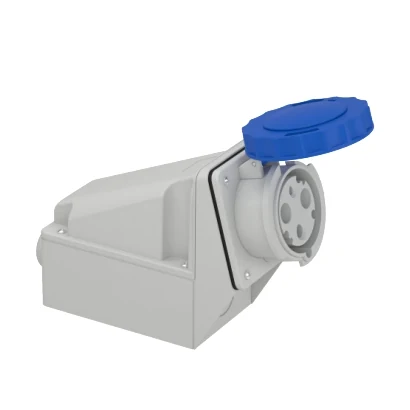 Schneider Electric 81178 3x63A, Single-Phase, 2P+T, IP67, SCREW, Wall Socket