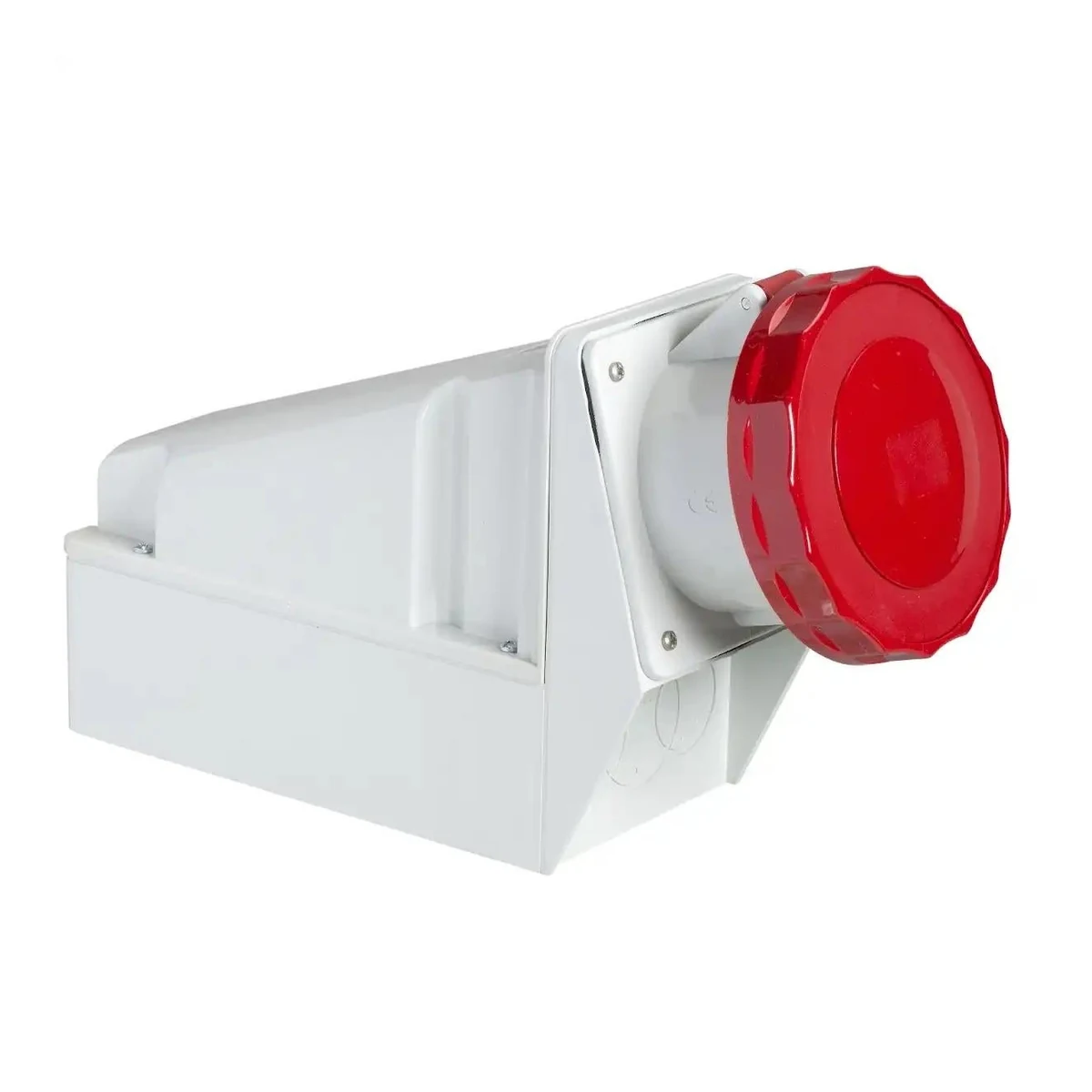 Schneider Electric 81183 5x63A, Three-Phase, 3P+N+T, IP67, SCREW Wall Socket