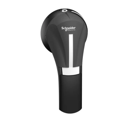 Schneider Electric GS2AHT530 TeSys GS Harici Döner Kurma Kolu 100..400A IP65 Siyah — üretici katalog görseli