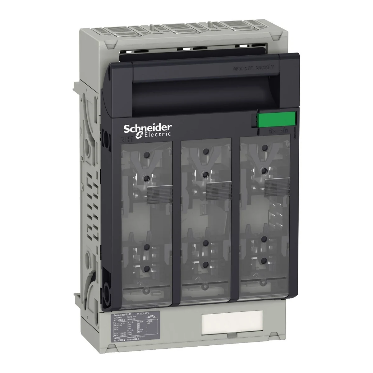 Schneider Electric LV480805 ISFT250 FUSE-SWITCH hook 60MM M10 TERM