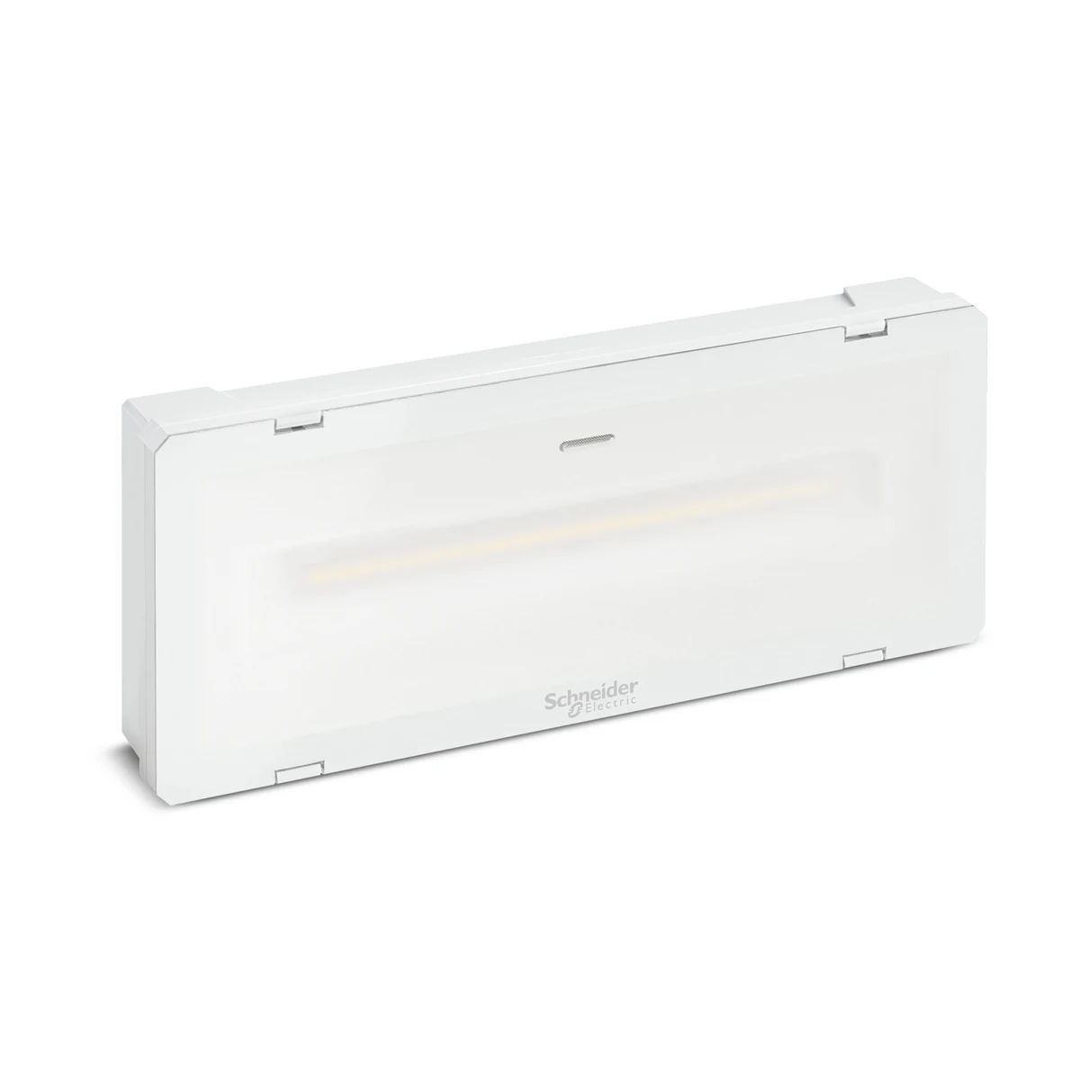 Schneider Electric OVA48529 Smartled Activa süreksiz 3 saat 600lm, sürekli 500lm, IP65 — temsili aile görseli