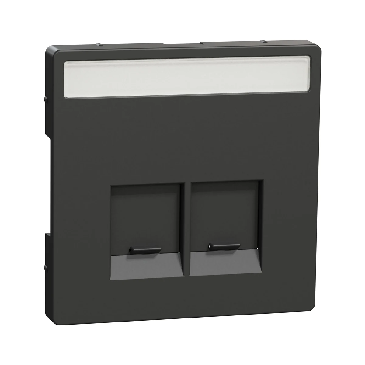 Schneider Electric MEG4574-6034 Merten System-D, Double SE Connector RJ45 Rocker Cover with Label, Anthracite
