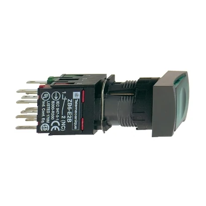 Schneider Electric XB6DW3B1B Rectangular Push Button Green NO
