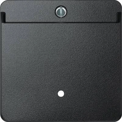 Schneider Electric 315414 Energy Saver button cover, System-M, Anthracite