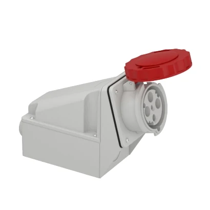 Schneider Electric 81182 4x63A, trifaze, 3P+T, IP67, VİDALI, Duvar Prizi — üretici katalog görseli