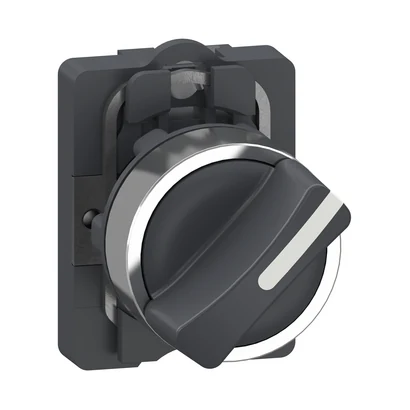 Schneider Electric XA2AD21 SS,2 POSITION,SHORT HANDLE,1NO — üretici katalog görseli
