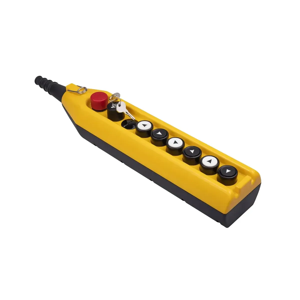 Emas PV Series 9-Hole Single-Speed 1NC Keyed Crane Control Box PV9E30B222AA20