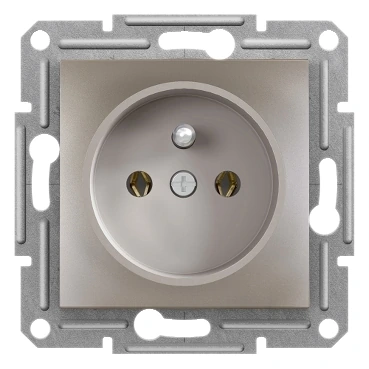 Schneider Electric EPH2800169 Asfora UPS Socket Bronze