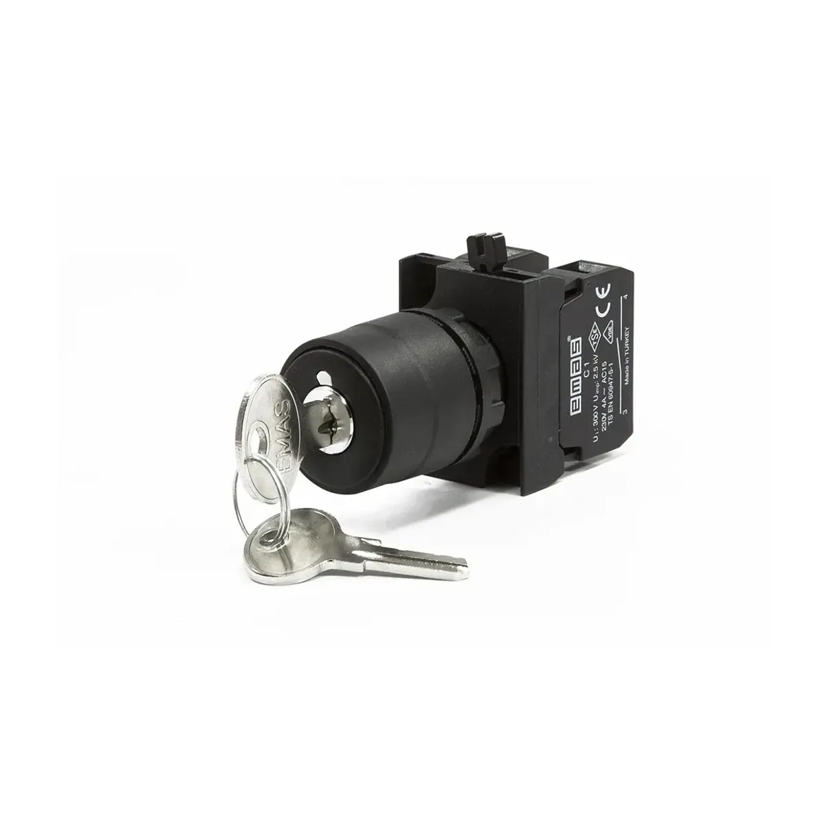 Emas CP Series Plastic Key-Operated Double-Turn Type Push Button 2NO II-0-I Black 22mm IP65