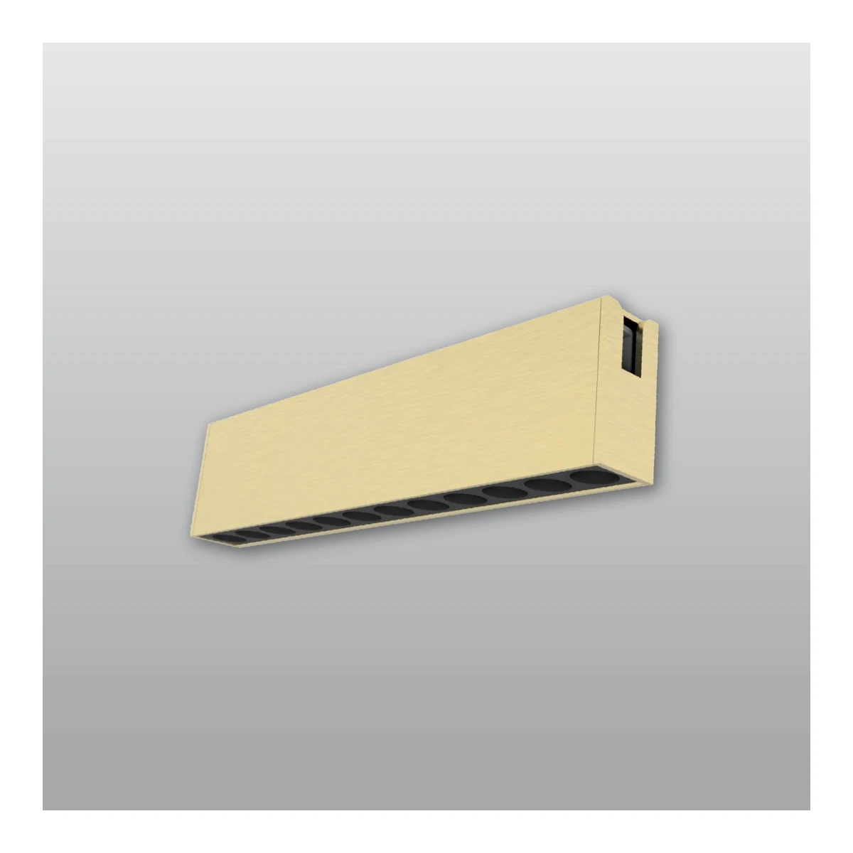 ACK AD50-02297 48V Rétro LED Track Luminaires 12W CCT Copper