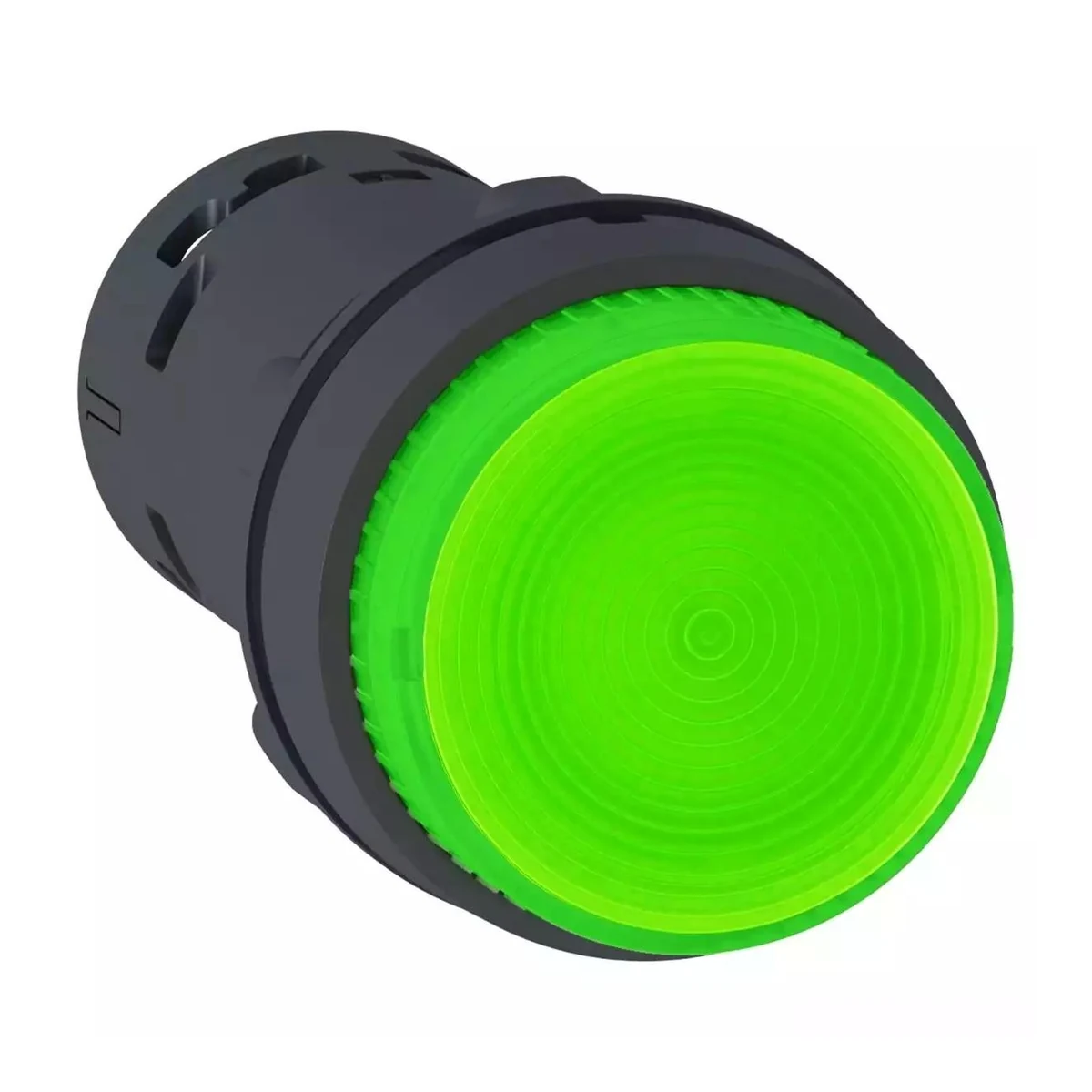 Schneider Electric XB7NW33B1 Yeşil1NA — üretici ürün görseli