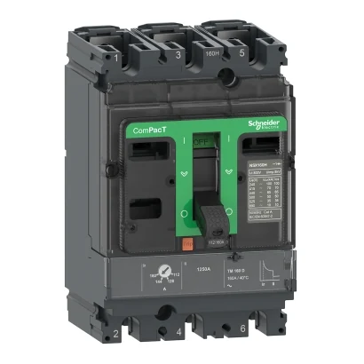 Schneider Electric C10N3TM032 NSX100N TM32D 50kA — temsili üretici aile görseli