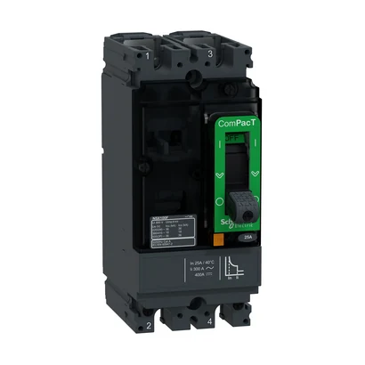Schneider Electric C10F2TM025 DC Devre Kesici NSX100F 25A 2P 36KA AC/DC — üretici katalog görseli