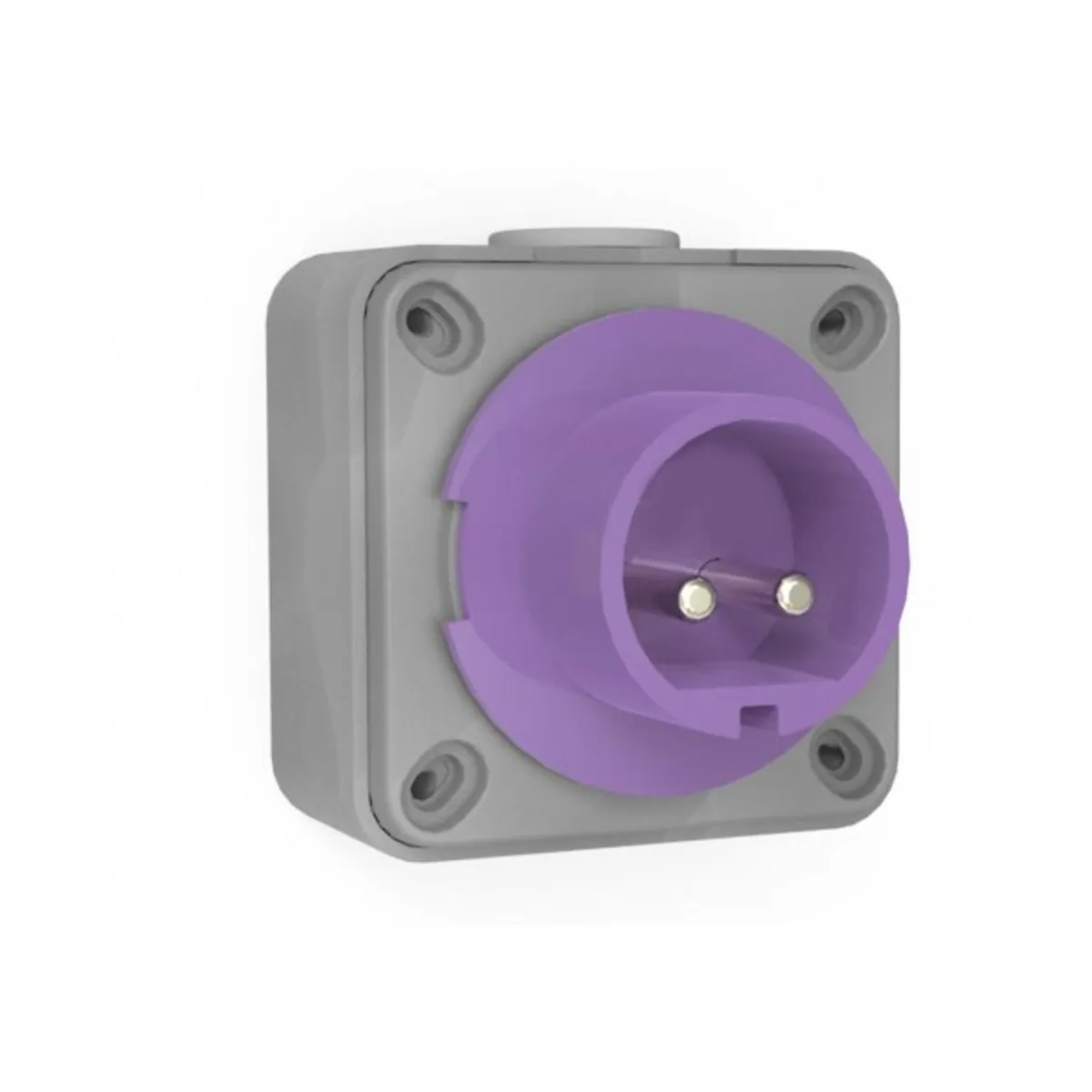Bemis BC1-1102-2210 CEE Wall-Mounted Plug 16 A 2P IP44