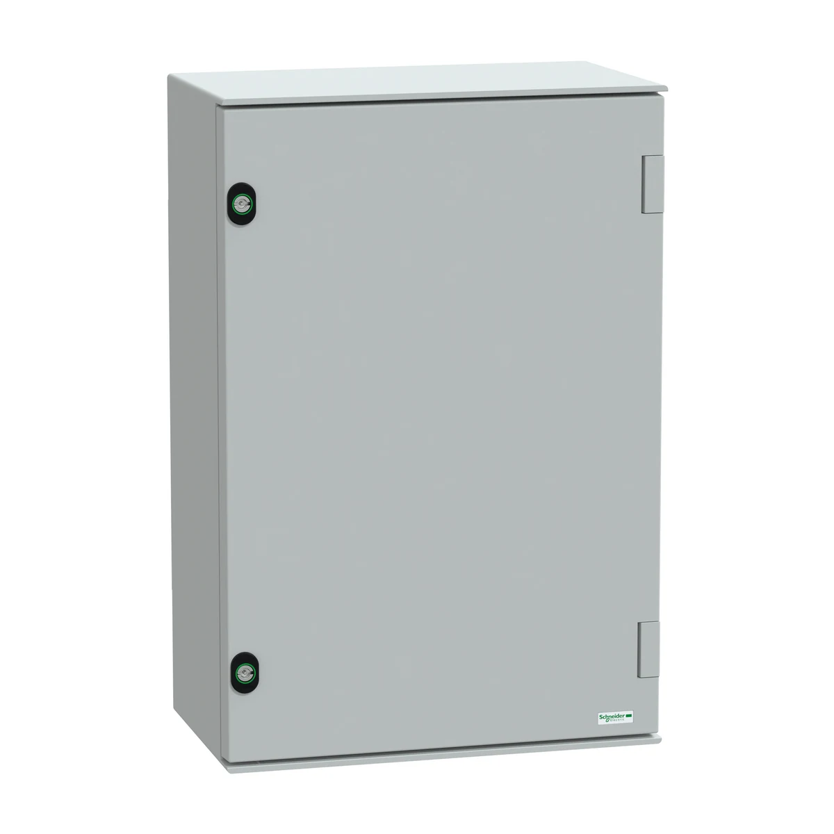 Schneider Electric NSYPLM64G 7035 WM polyester PLM 647x436x250 — üretici ürün görseli
