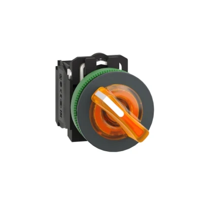 Schneider Electric XB5FK125B5 Işıklı, Mandal buton LED 24 VAC /DC Yeşil 1NA+1NK — üretici katalog görseli