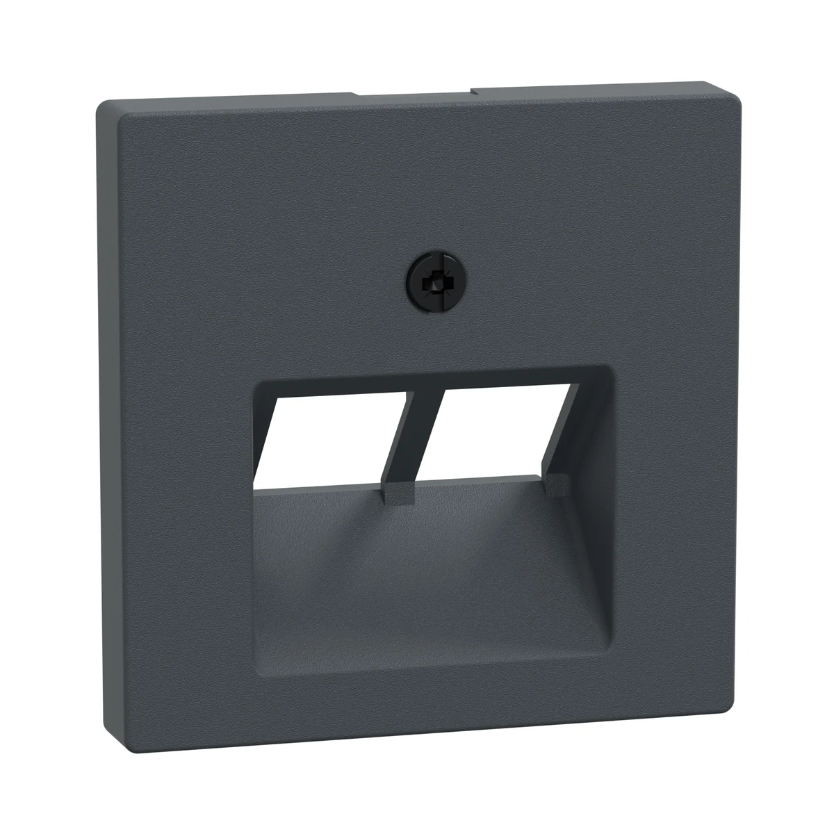 Schneider Electric 298014 central plate for RJ45 mechanism, 2-rocker, anthracite, System M