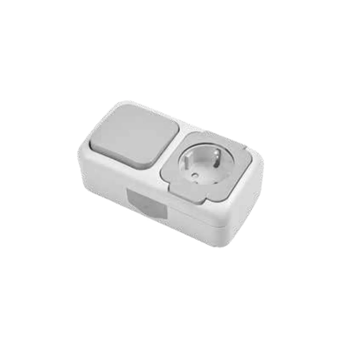 Viko 90555574 Palmiye Gray Horizontal Switch + Grounded Socket with Transparent Cover IP54
