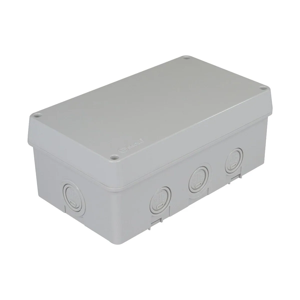TP Elektrik 3310-217-0600 Buat 130x220x95 (10 çıkışlı) - Vidalı Kapak, IP 67