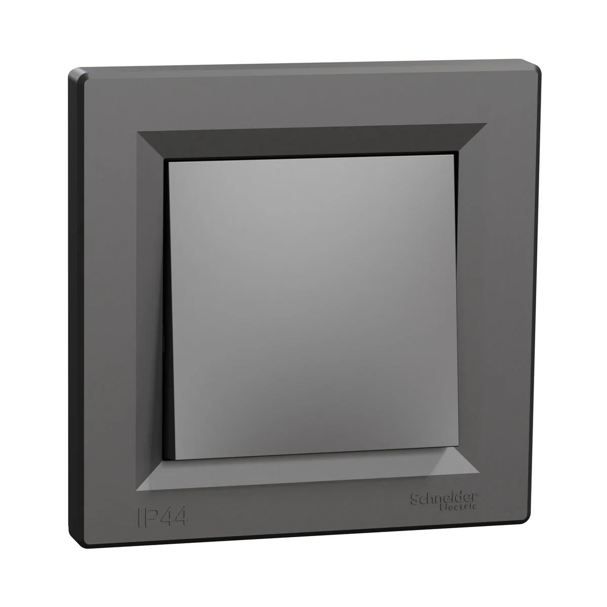 Schneider Electric EPH0100271 Switch IP44 (with frame)