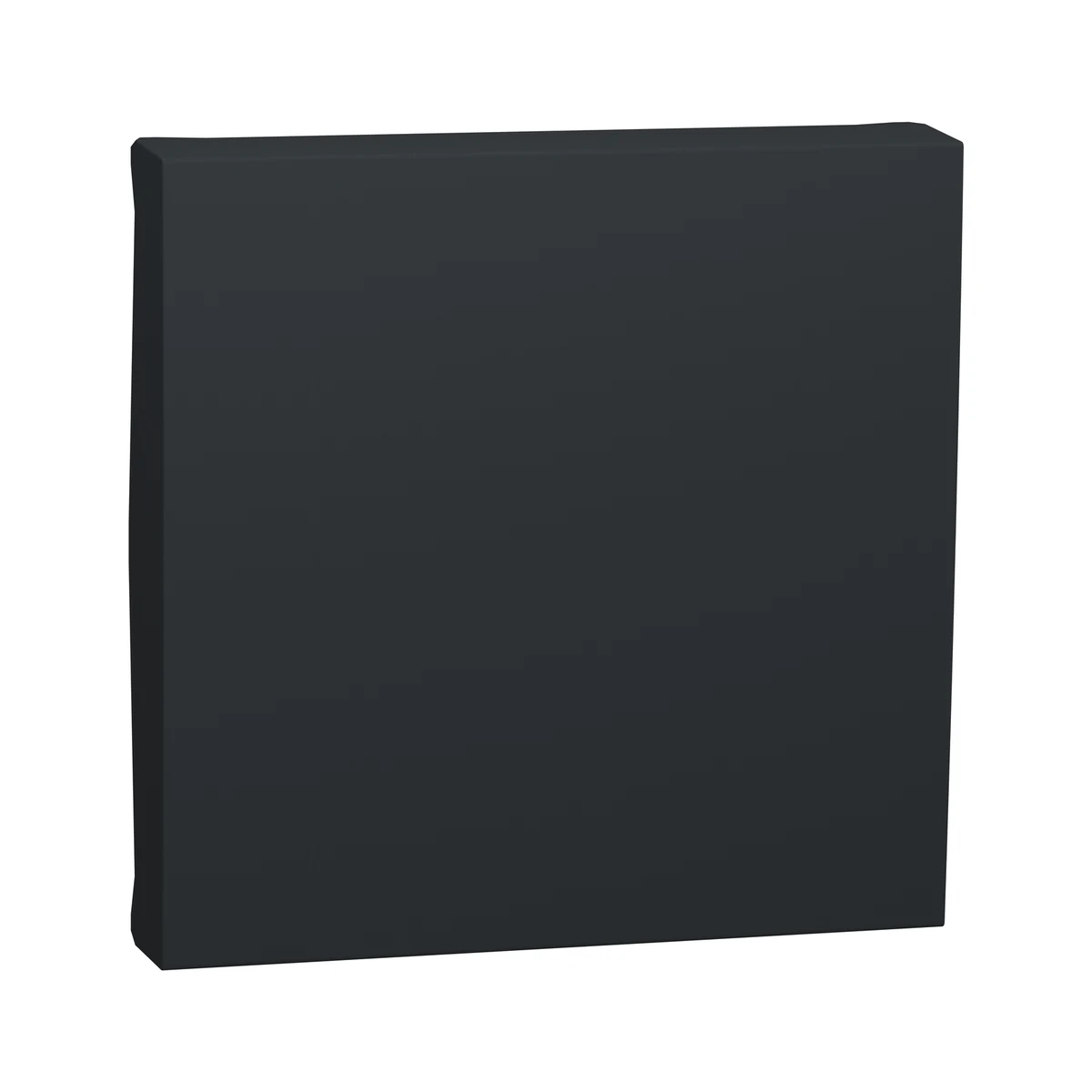 Schneider Electric NU920054 Yeni Unica, Switch Rocker Cap 2 module, Anthracite