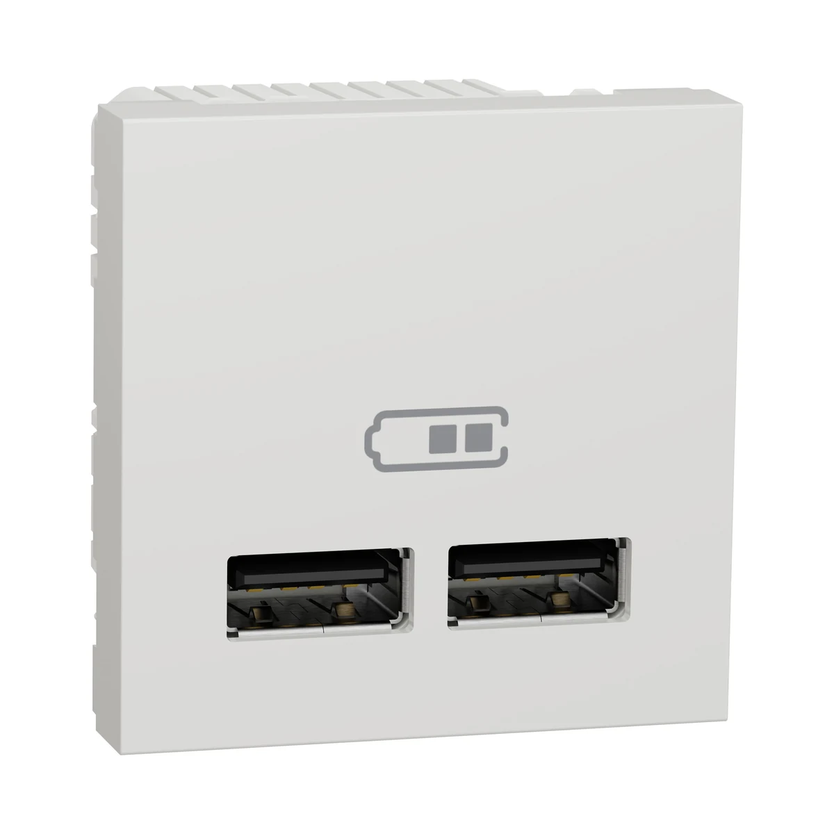 Schneider Electric NU341818 Yeni Unica, 2xUSB Charging Socket 1A Type A 2 module, White