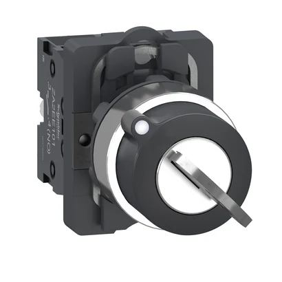Schneider Electric XA2AG43 KSS,2 POSITION,2 SIDES PULL OUT,2NO — temsili üretici aile görseli