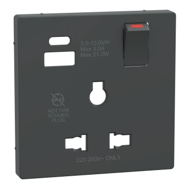 Schneider Electric MTN2175-6034 Merten System-D, Type A+C USB'li 13A Üniversal Priz Tuş Kapağı, Antrasit