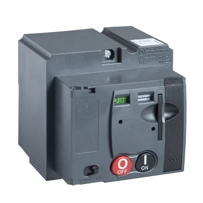 Schneider Electric LV429441 MT100/161 - Haberleşmeli tip — üretici katalog görseli