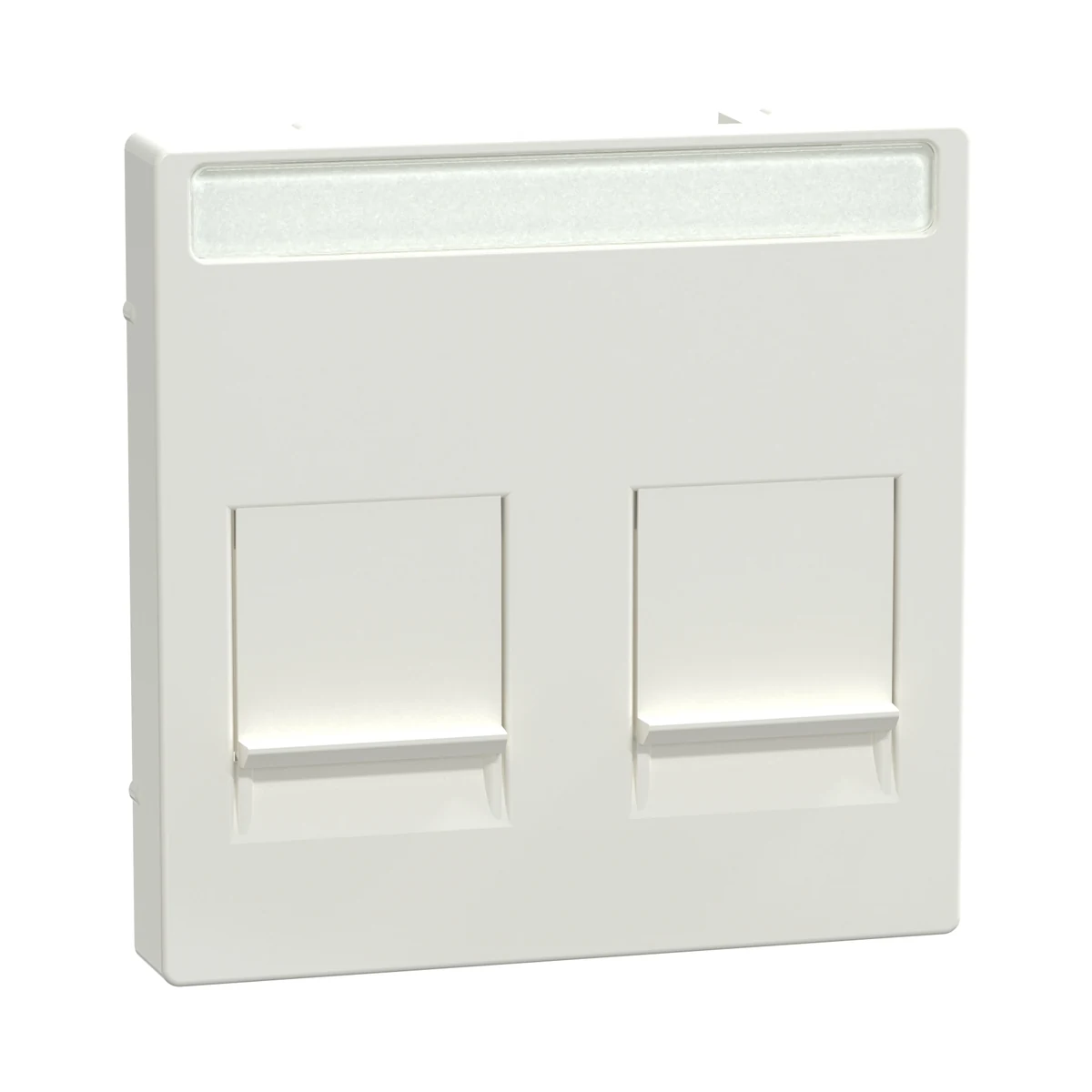 Schneider Electric MEG4564-0319 Merten System-D, Double RJ45 Rocker Cover with Label Area and Dust Flap, Polar White